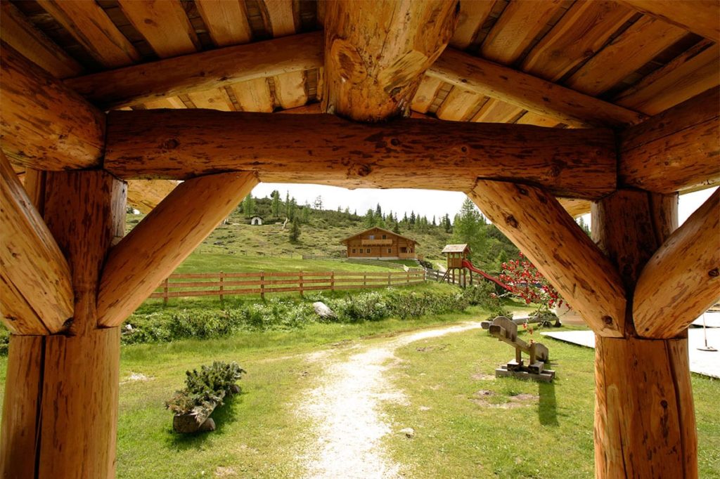 Selbstversorgerhütte im Salzburger Land, Trinkeralm 2